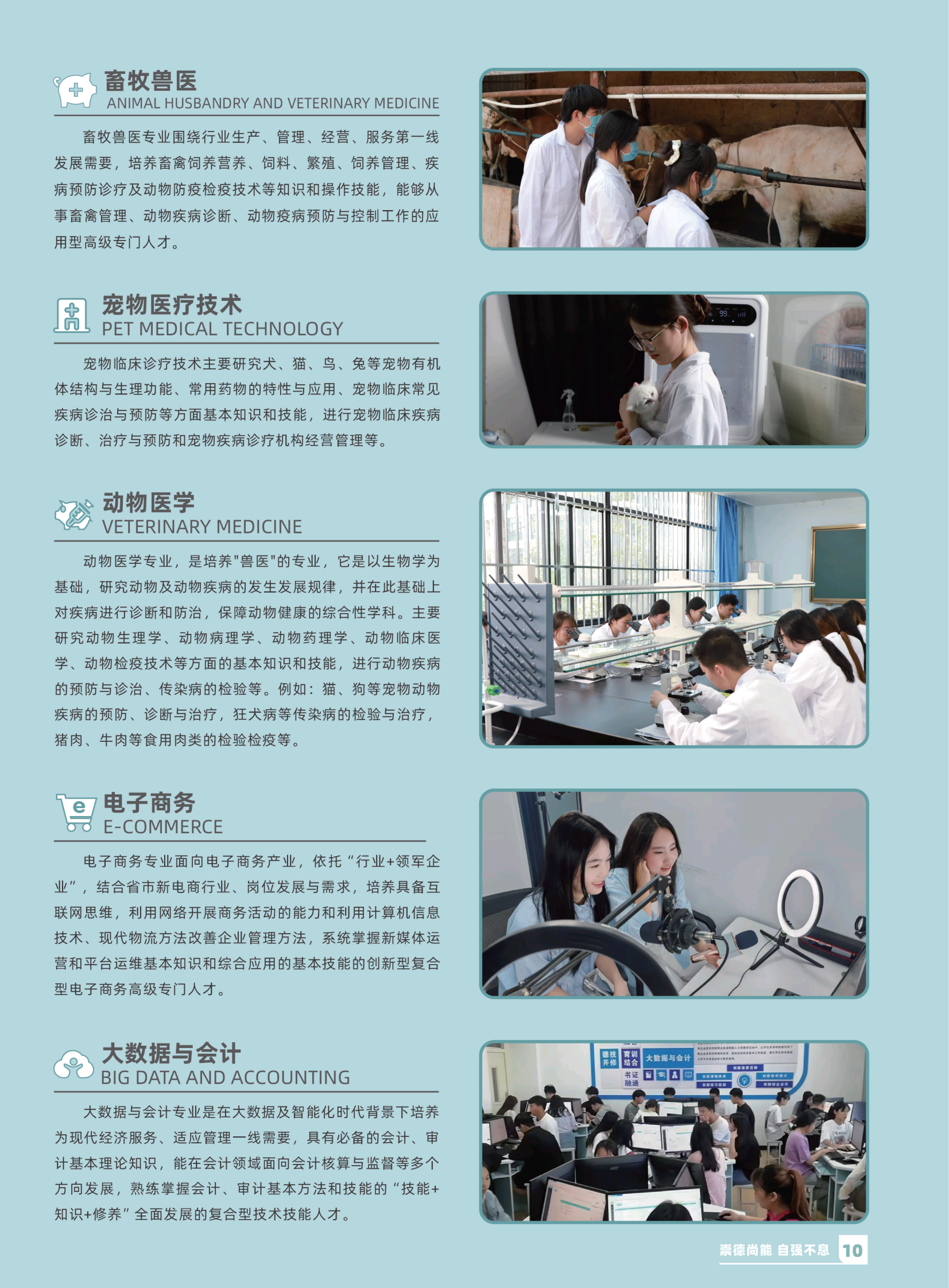 5d8774b69f73cf0b190d286d526a4722_1749550055665574.png